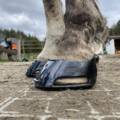 SLUŽBA – pasování bot pro koně